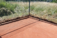IMG-20200615-WA0002